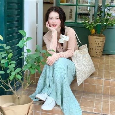 智叻狗仔队