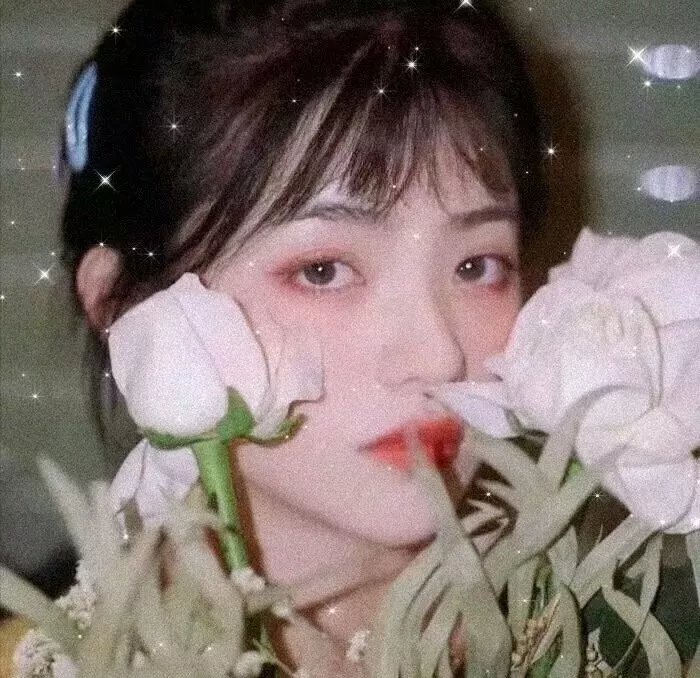 律界新手